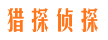 居巢市婚姻调查